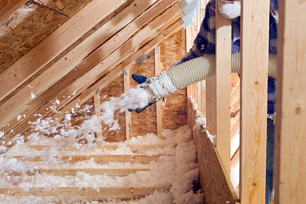 Best Commercial Insulation Services in Rush City, MN